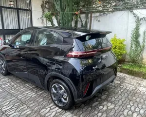 BYD Seagull 2024 Matt Black