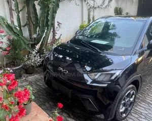 BYD Seagull 2024 Matt Black