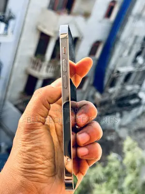 Apple iPhone 12 Pro 256 GB Black