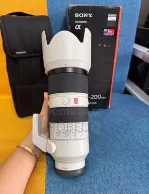 Sony Zoom 70-200mm F2.8