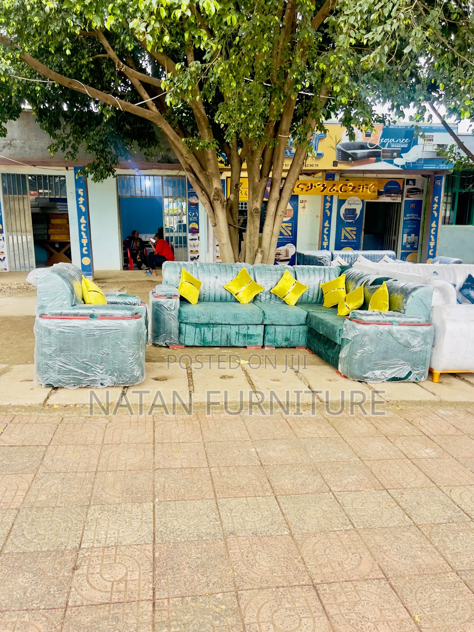 አልሼፕ ሶፋ በማለዳ ስፓንጅየተሰራ ጥርት ፅድት በ አዲስ ዲዛይን