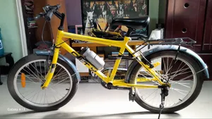 Photo - Bicycle 2024 Yellow