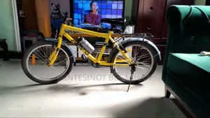 Bicycle 2024 Yellow