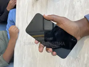 Apple iPhone 12 Pro Max 256 GB Gray