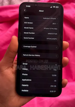 Apple iPhone 13 Pro Max 256 GB Gray