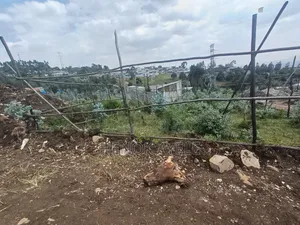 Photo - Residential Land for Sale