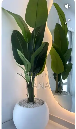 Photo - Hani Home Decor