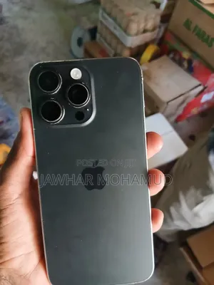 Apple iPhone 15 Pro Max 256 GB Silver