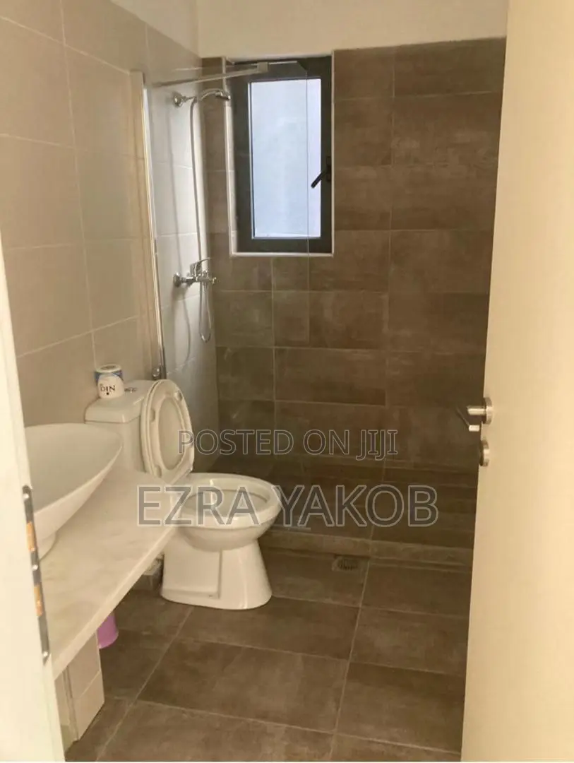 Furnished 3bdrm Apartment in Bole for rent