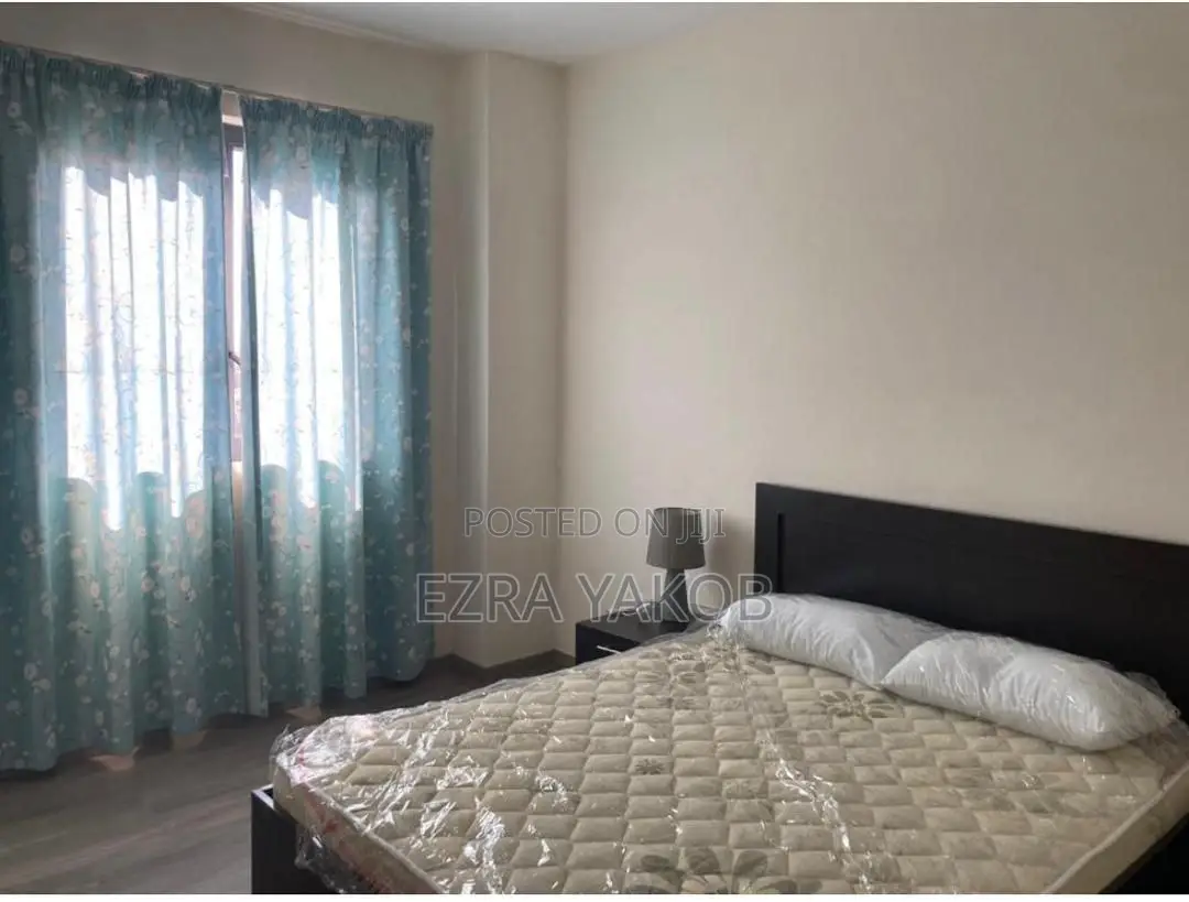 Furnished 3bdrm Apartment in Bole for rent