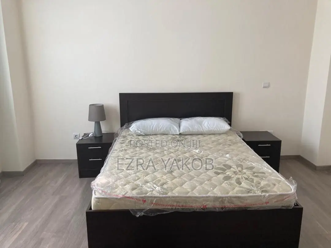 Furnished 3bdrm Apartment in Bole for rent