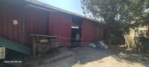 Photo - Yamikrayi Magzen