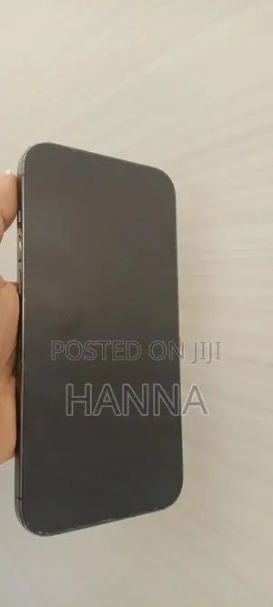 Photo - Apple iPhone 12 Pro Max 256 GB Black