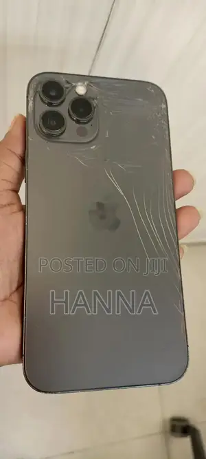 Apple iPhone 12 Pro Max 256 GB Black