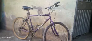 Photo - Cycle for Sale