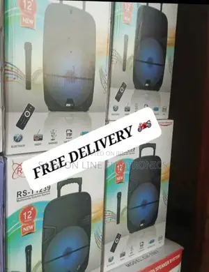 ◆Rising 12inch Orignal Speaker 5year Warranty