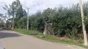 Bisrate Gebriel, Land for Sale 490sqm