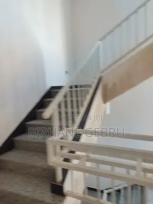 Furnished 3bdrm Apartment in Luxury Apartiment, Kirkos for rent