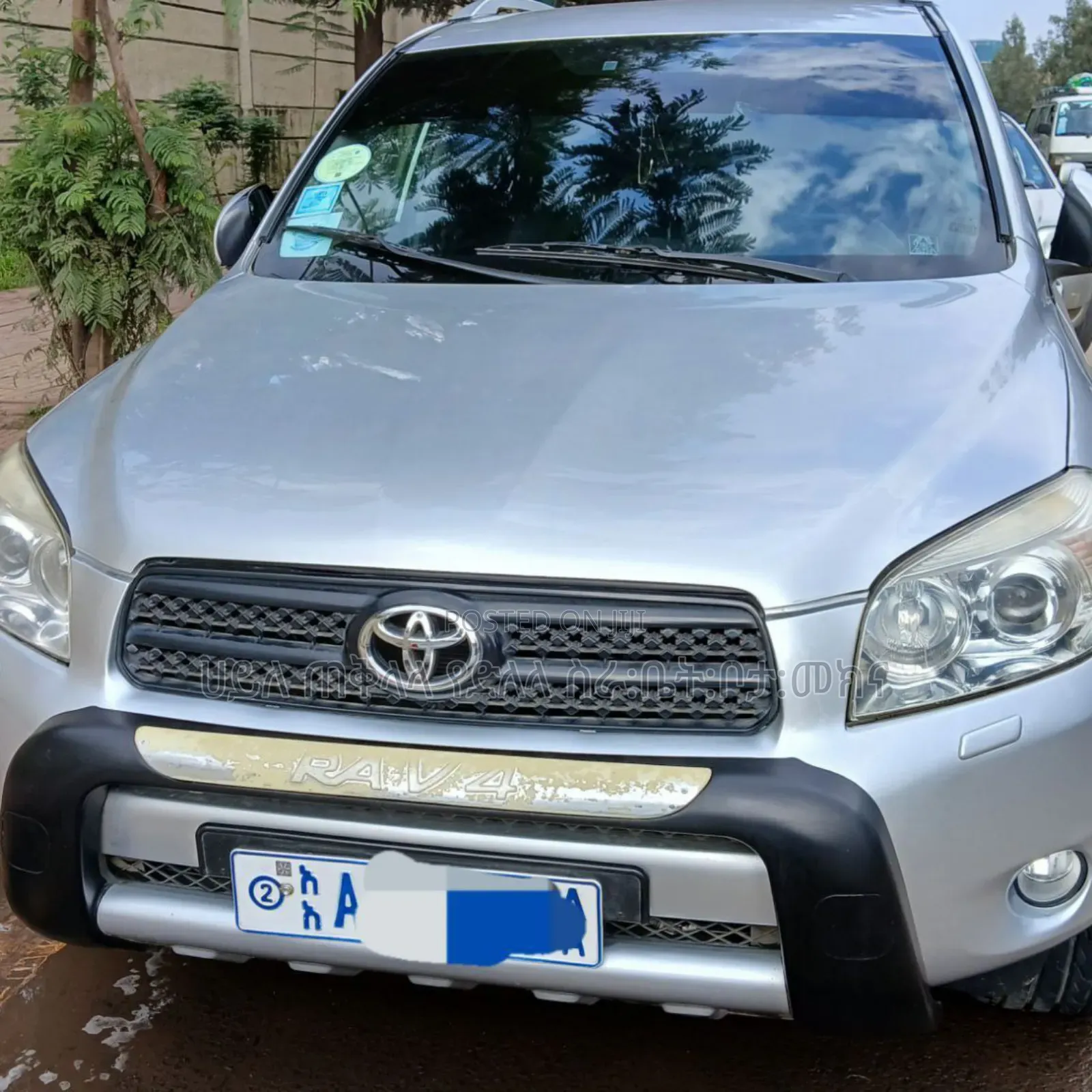 Toyota RAV4 2009 Silver