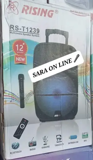 Rising Rs-T1239 Orignal Speaker 12inch ■5year Warranty