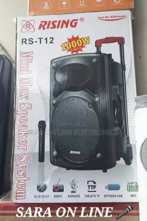 >>Rising 12inch Orignal Speaker Model Rs-T12 5year Warranty