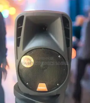 Max 8inch Orignal Speaker Free Delivery 5year Warranty