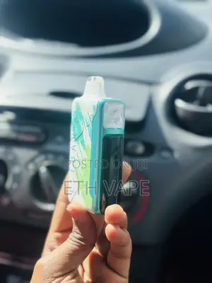 Elfbar 30,000 and Vozol 12,000 Puffs