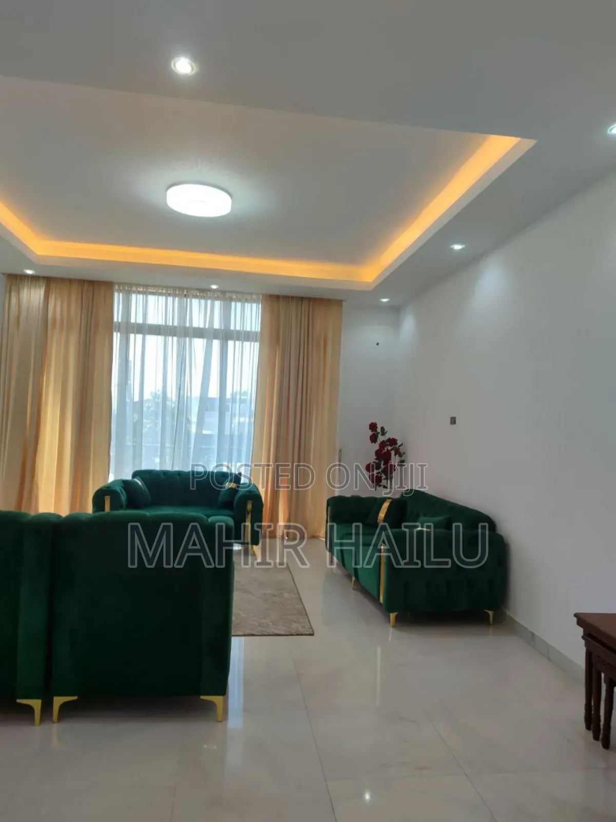 Furnished 7bdrm House in Real, Bole for rent