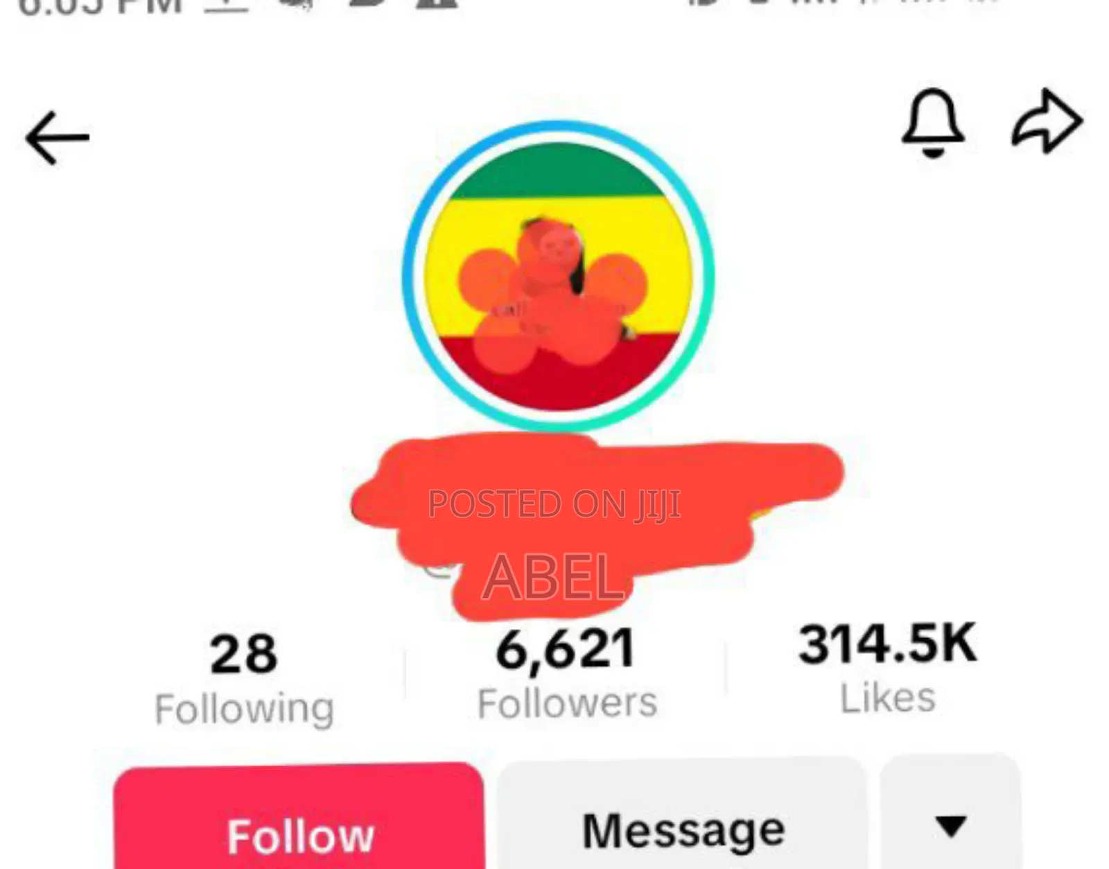 Tiktok Account