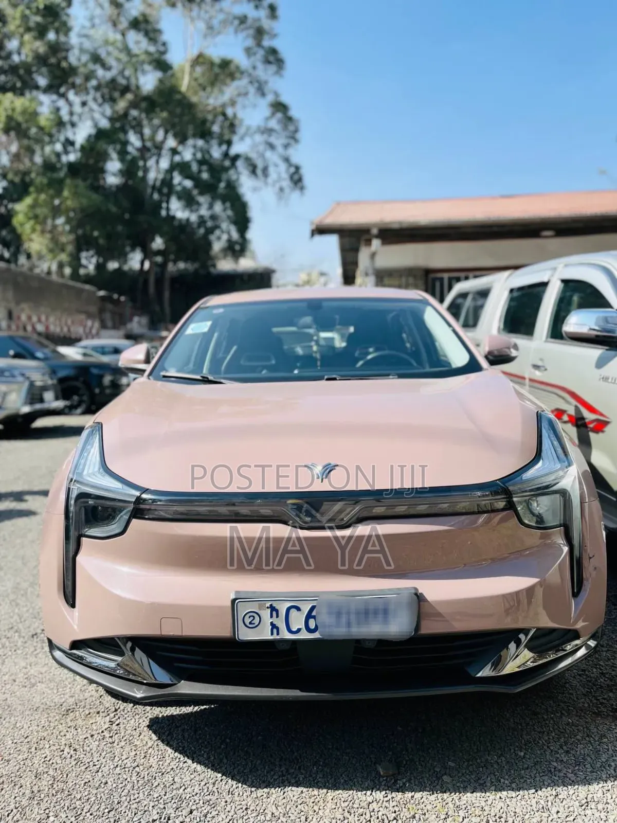 Hozon Neta U 2022 Brown