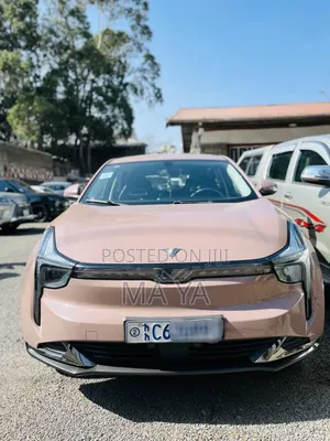 Photo - Hozon Neta U 2022 Brown