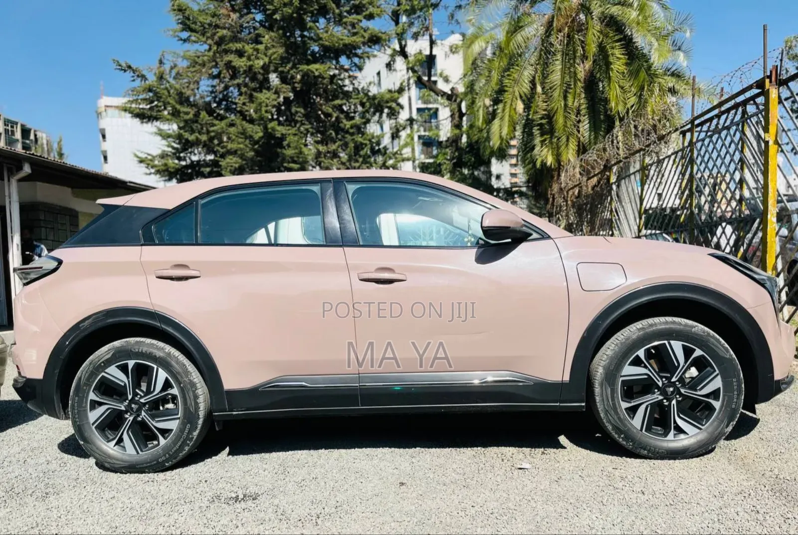 Hozon Neta U 2022 Brown