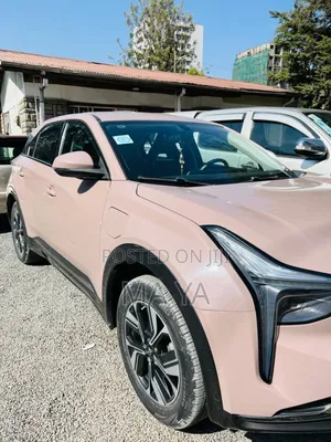 Hozon Neta U 2022 Brown