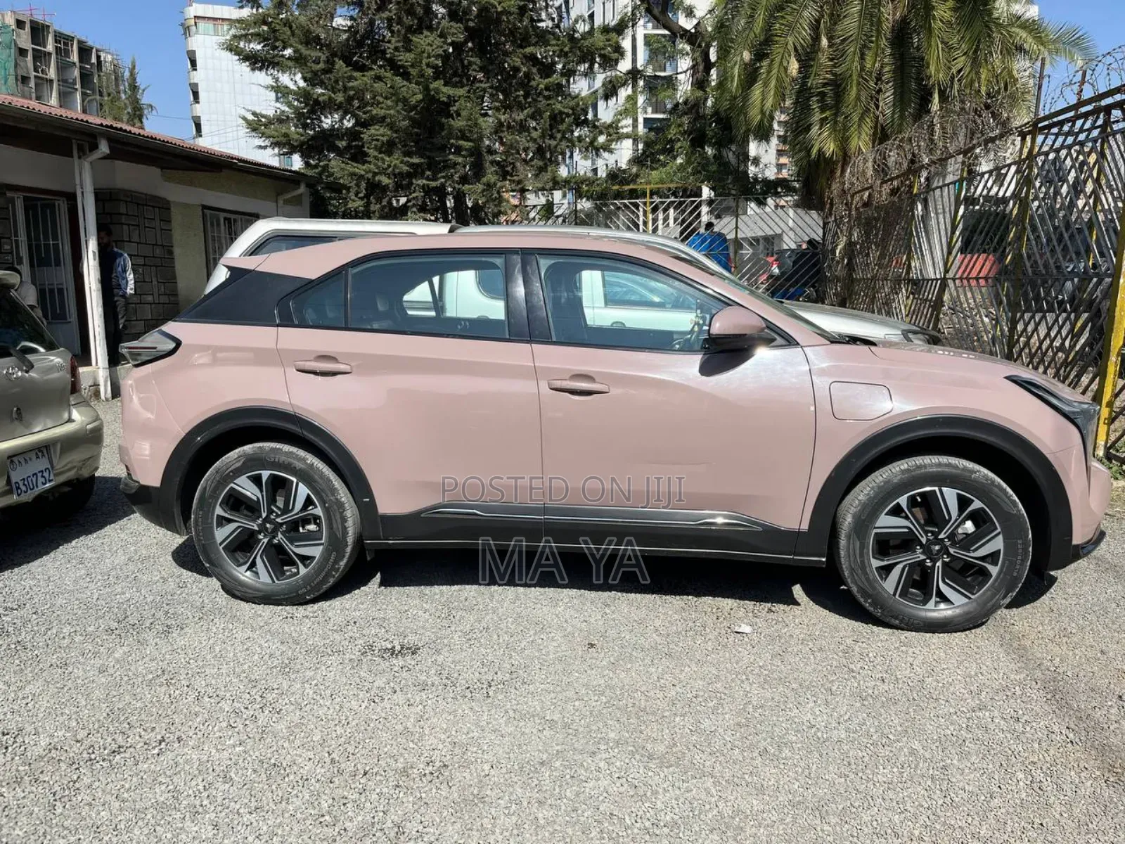 Hozon Neta U 2022 Brown