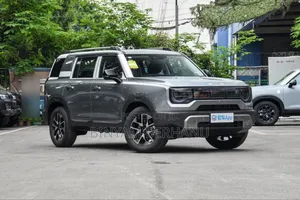 Photo - New BAIC BJ30 2025 Gray
