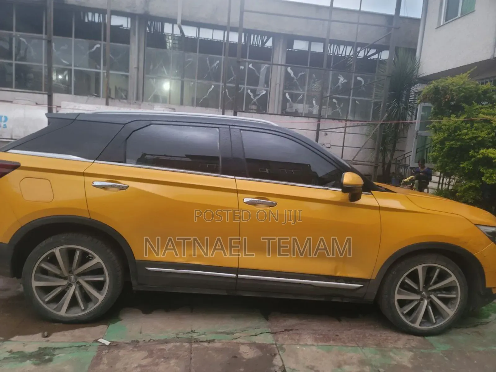 Faw Vita 2015 Yellow