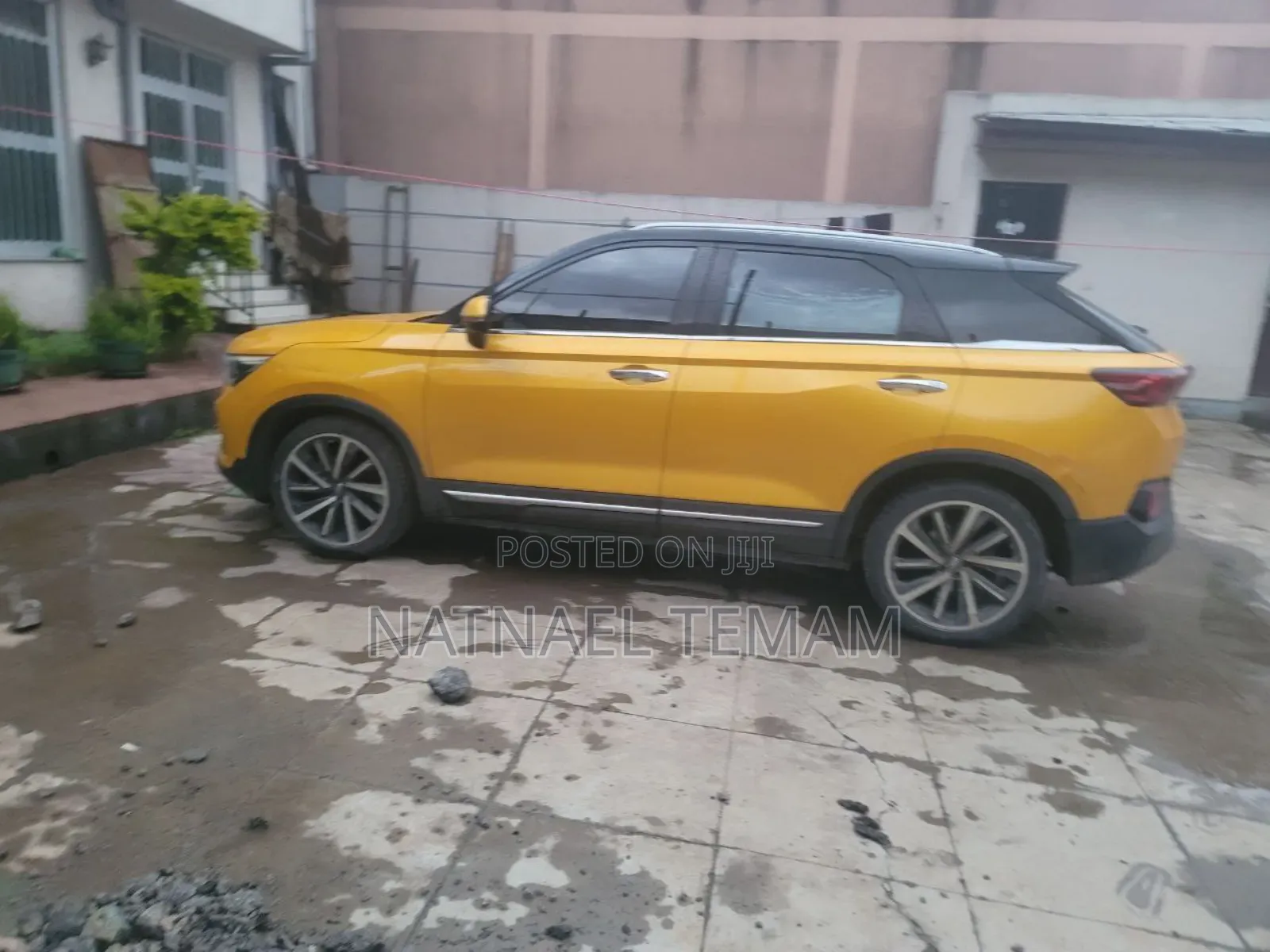 Faw Vita 2015 Yellow