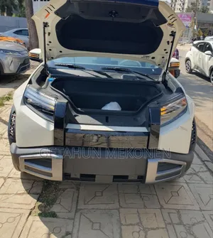 New BYD Leopard 3 2026