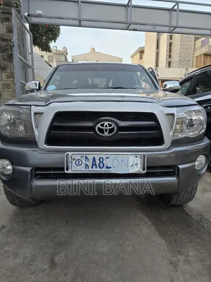 Photo - Toyota Tacoma 2010 Gray