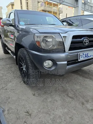 Toyota Tacoma 2010 Gray