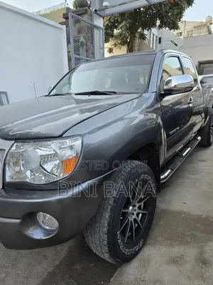 Toyota Tacoma 2010 Gray