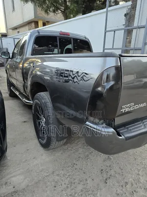 Toyota Tacoma 2010 Gray