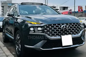 Photo - Hyundai Santa Fe 2024