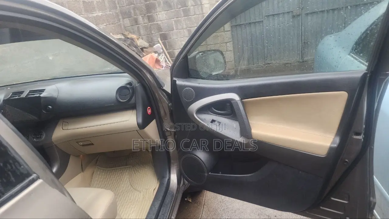 Toyota RAV4 2009 Brown