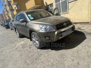 Photo - Toyota RAV4 2009 Brown