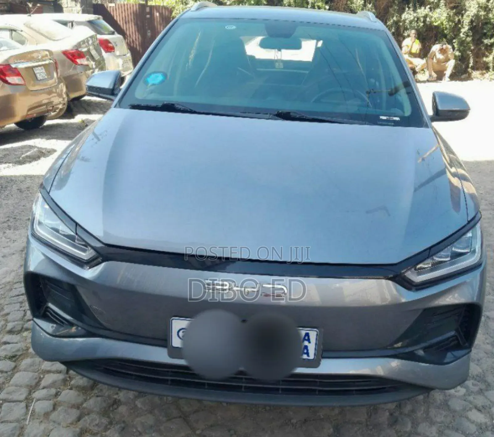 BYD E2 43 kWh 94 hp FWD 2024 Gray