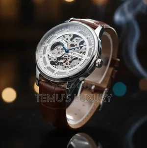Photo - Tevise Original Automatic Mechanical Watch Men's Luxury Skeleton Watch
