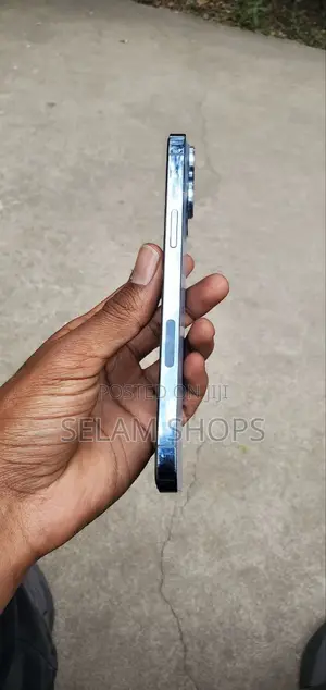 Apple iPhone 13 Pro Max 256 GB Purple