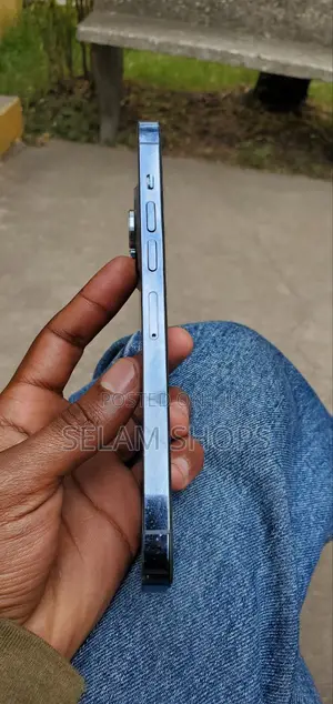 Apple iPhone 13 Pro Max 256 GB Purple