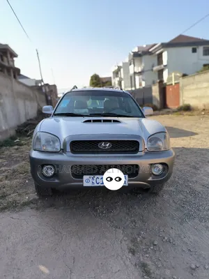 Photo - Hyundai Santa Fe 2002 Silver